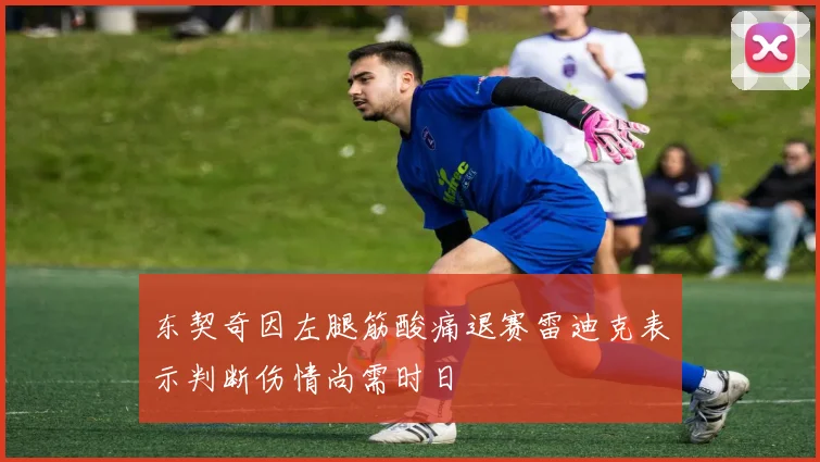 东契奇因左腿筋酸痛退赛雷迪克表示判断伤情尚需时日