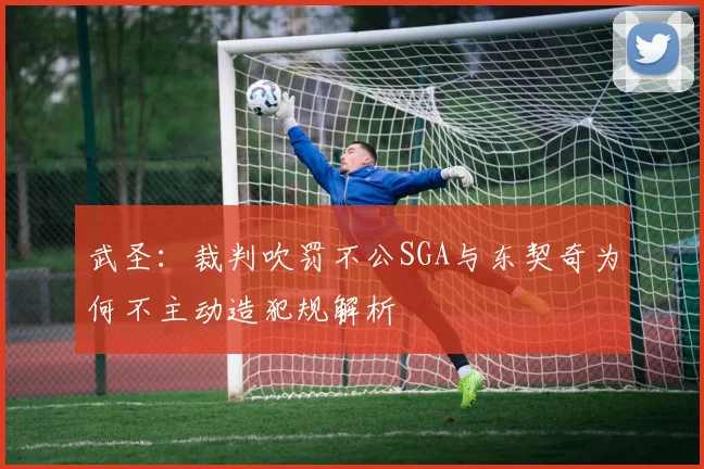 武圣：裁判吹罚不公SGA与东契奇为何不主动造犯规解析